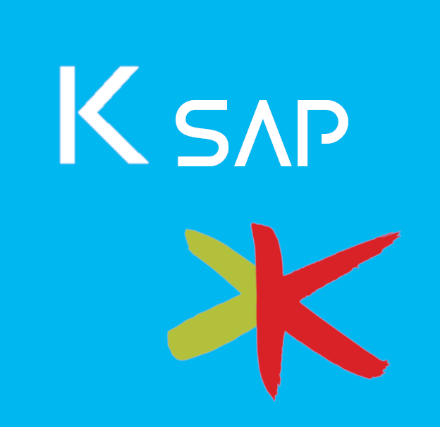 Kinamu SAP Connector
